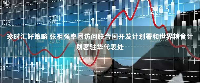 珍时汇好策略 张祖强率团访问联合国开发计划署和世界粮食计划署驻华代表处
